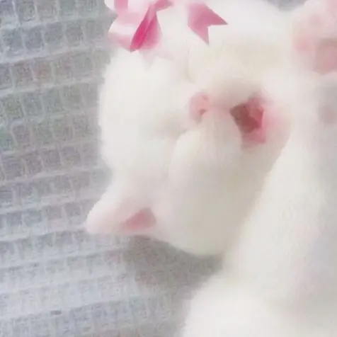 i_am_cute의 나랑 대화해방ㅇ 재밋겡 해종ㅇ