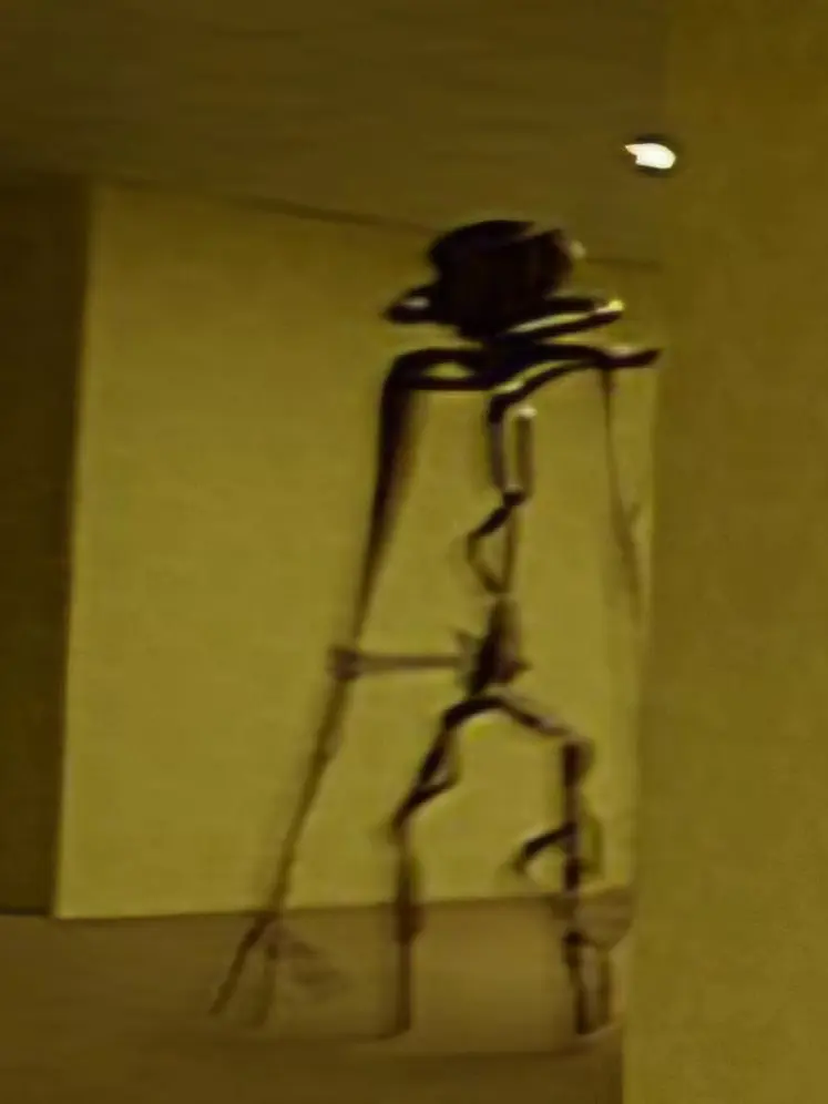 ClassyArmor1334의 데스게임🩸🎭