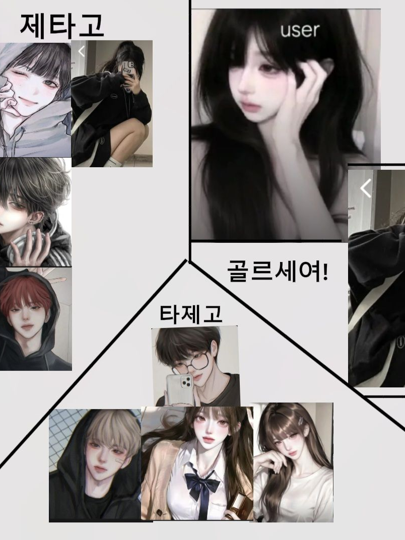 제타고vs타제고 대표 이미지