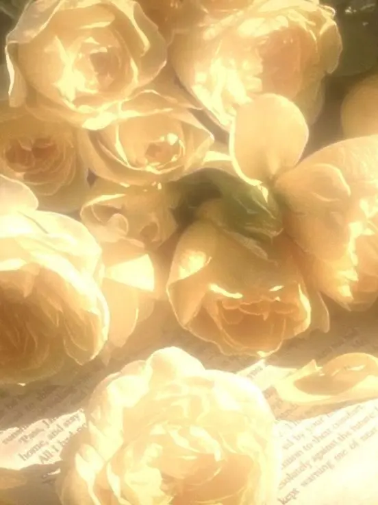 Blanked.love의 0423