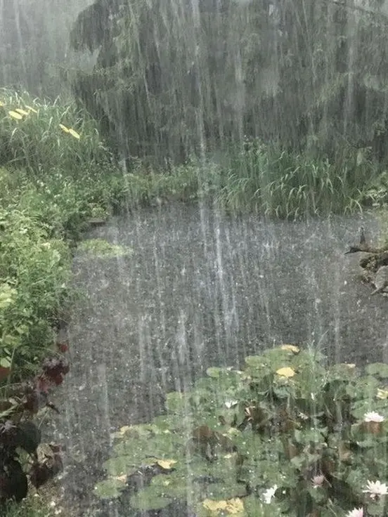 nagatoro_hayase의 제목 일단 임시로 쓸거임 나중에 바꿈