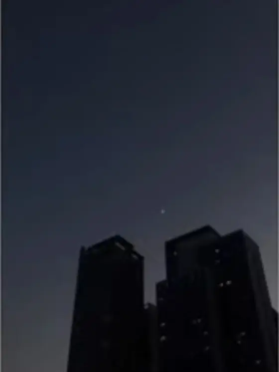 NearQueen4211의 ㄱㅇㅎ