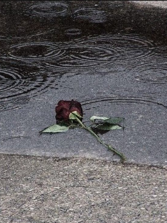 [뜰팁] 초세여 과부화 대표 이미지