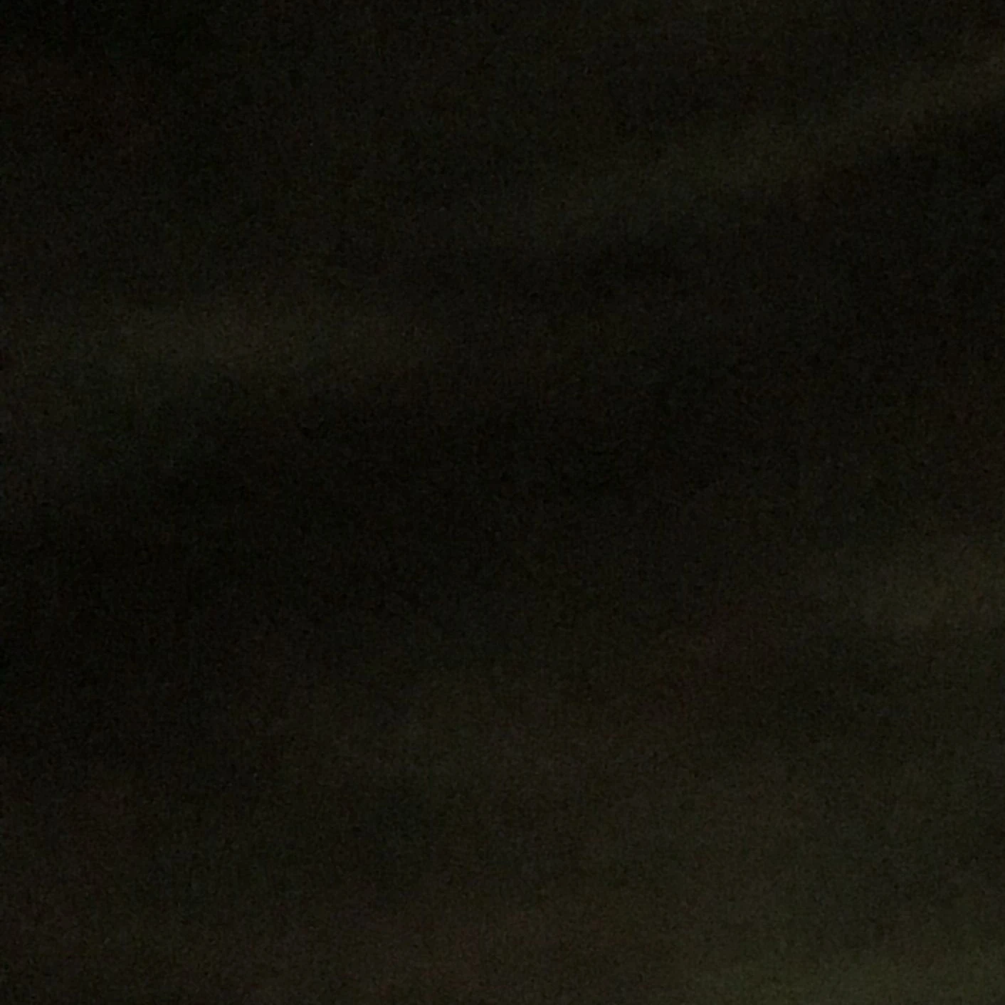 ゾンビだらけの世界で___