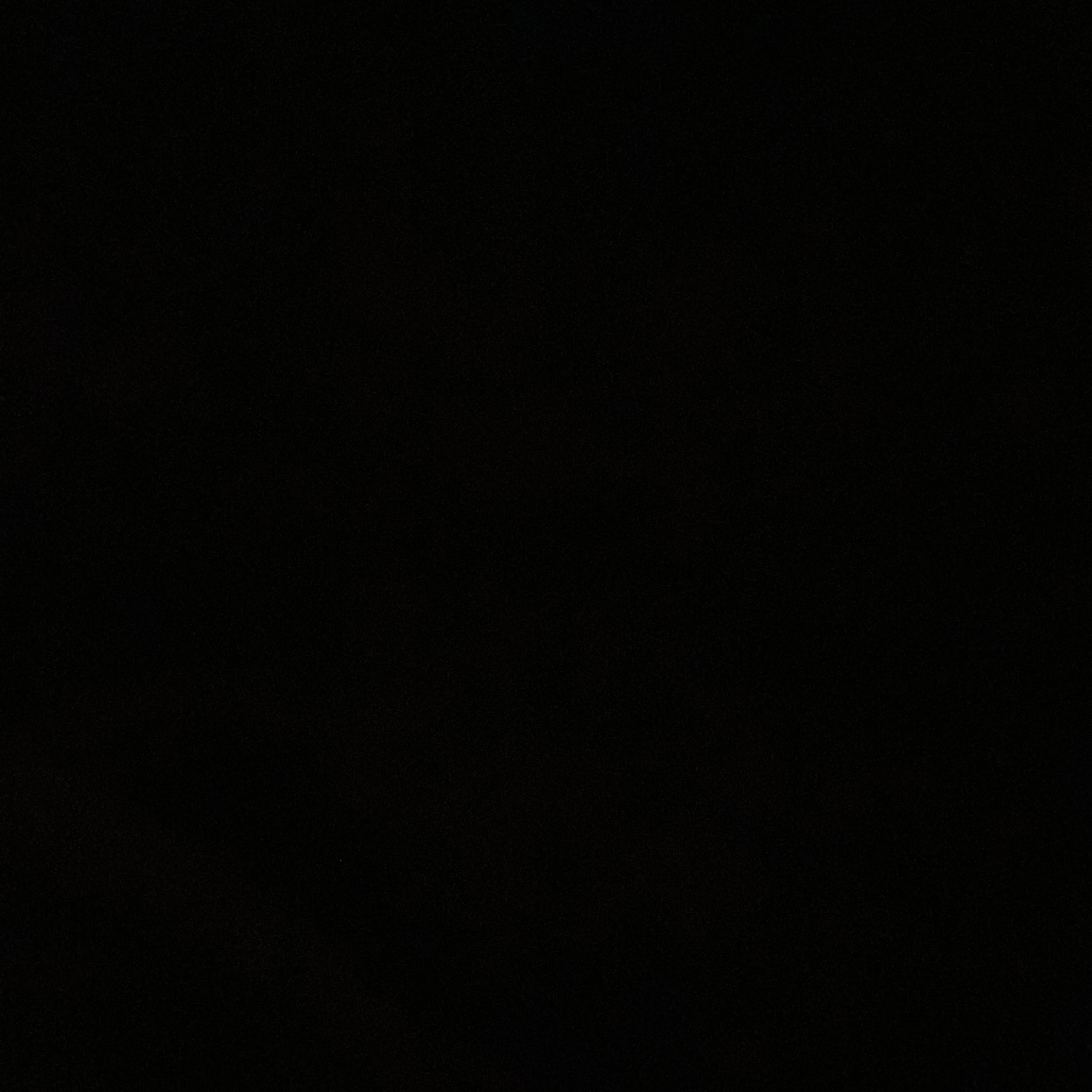 マフィアの私達。__