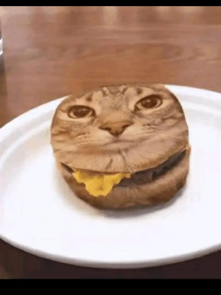 SinfulSpoon6992의 Cat burger