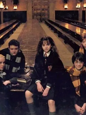 MeekNyala1933의 Slytherin vs gryffindor