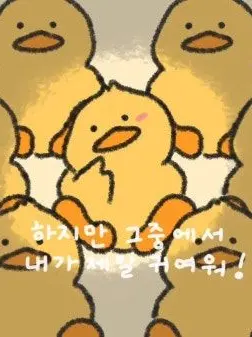 HumidBox4852의 제작자인 세상에서 제일 커여운 오동이