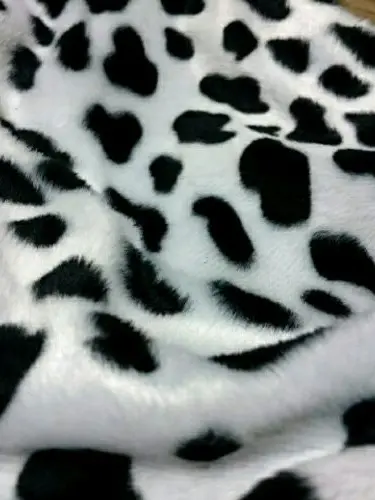 SIbetunisiyO의 教えてください、せんせい