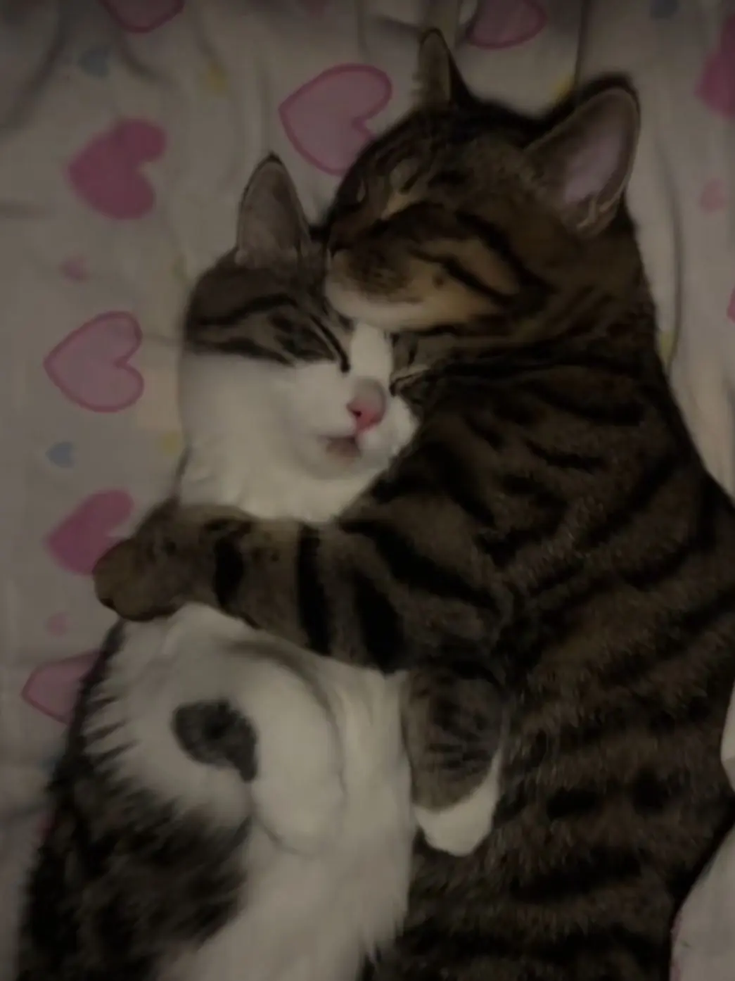 TacitNail9355의 Clingy boyfriend