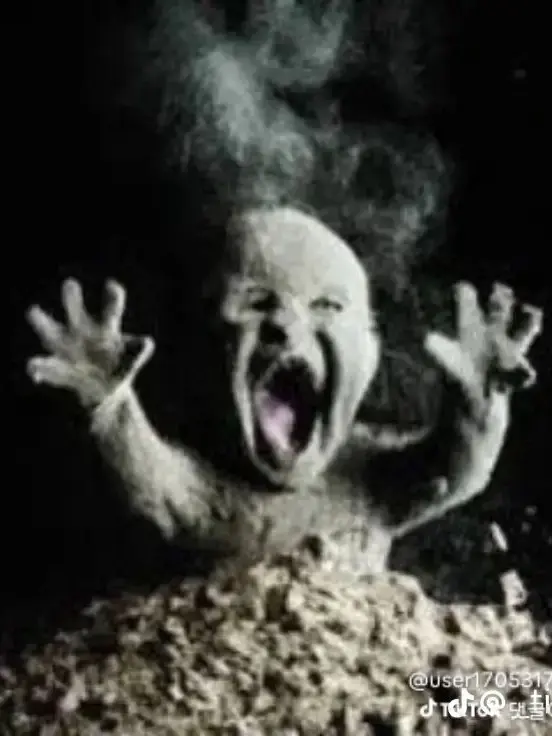 RigidDull1069의 포세이큰 학교+여우🦊