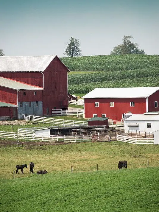 Ink-D-Red의 Mr. A's farm