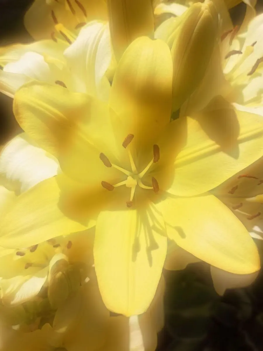 UsableZebu2408의 친구말고 연인으로