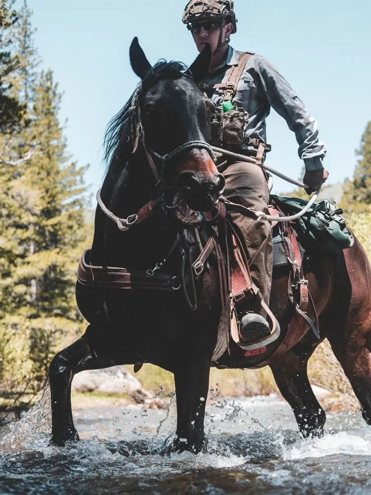 GoldenFez8902의 𝘛𝘍 141— 𝘎𝘪𝘥𝘥𝘺 𝘜𝘱.. 🐎