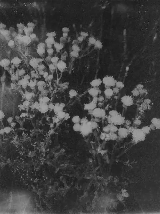 Yoyoetye의 마지막 공연을..