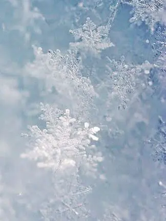Choiseed의 Fromis_9 First Snow❄️