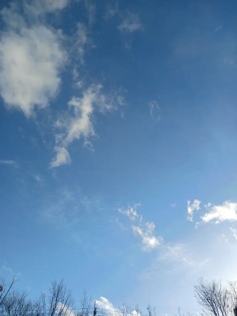 BrassyOptic1516의 서하