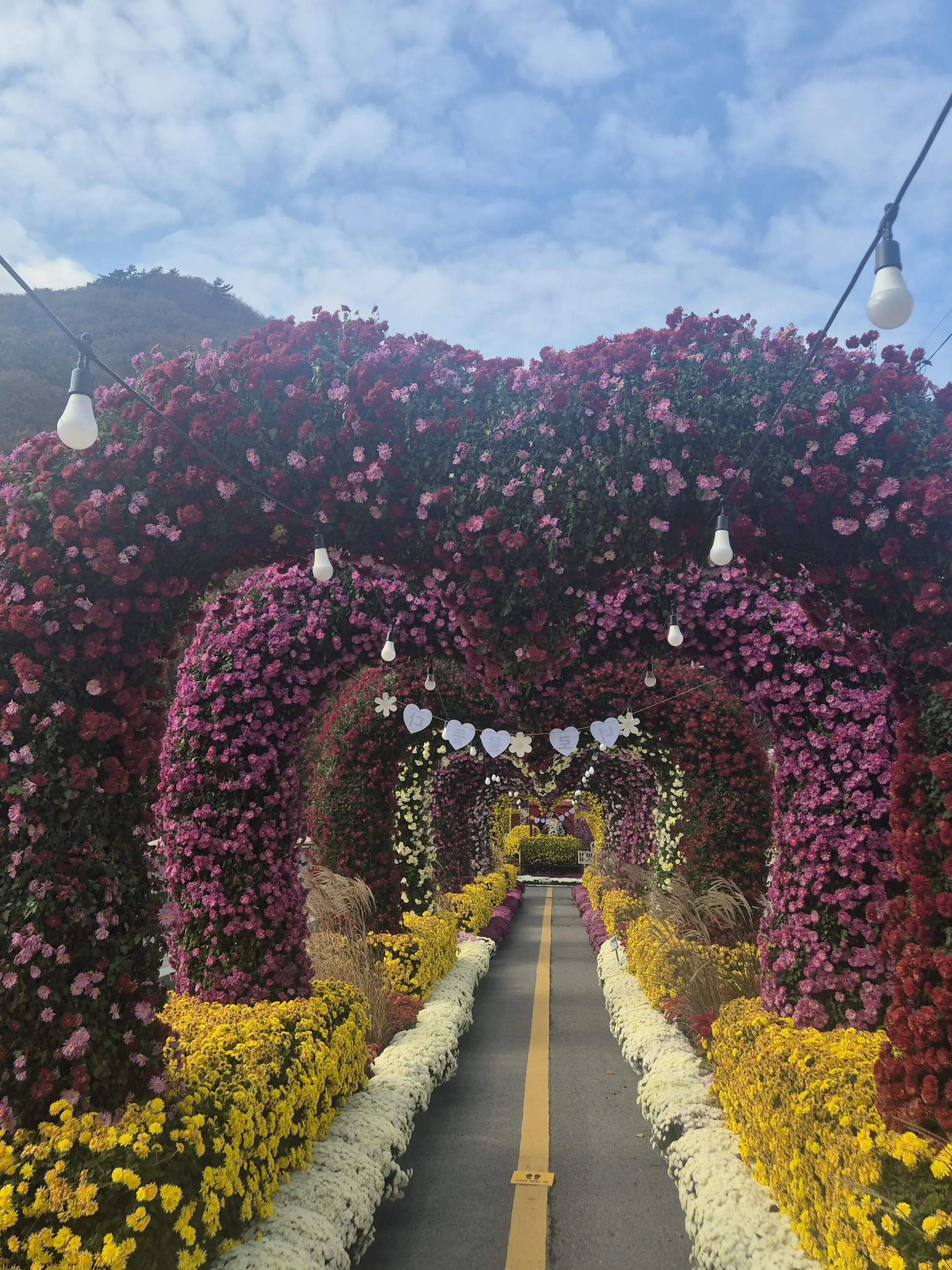 JUSUNG070911의 세상을 떠난 언니가 돌아왔다