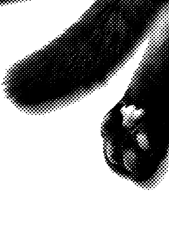 fin_ooo의 ᅠ