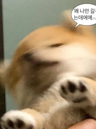 Jeni_7541의 직장상사 길들이기