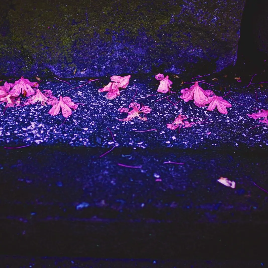 ._____.2064의 うブ