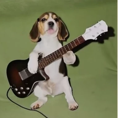 ゆき