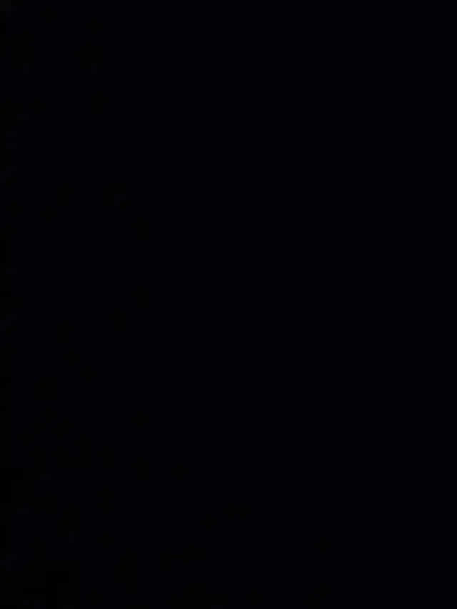 mga-25의 フェーズ1。