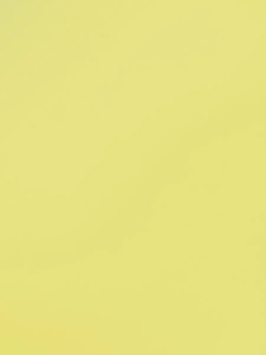 Chocomint.의 闇市場