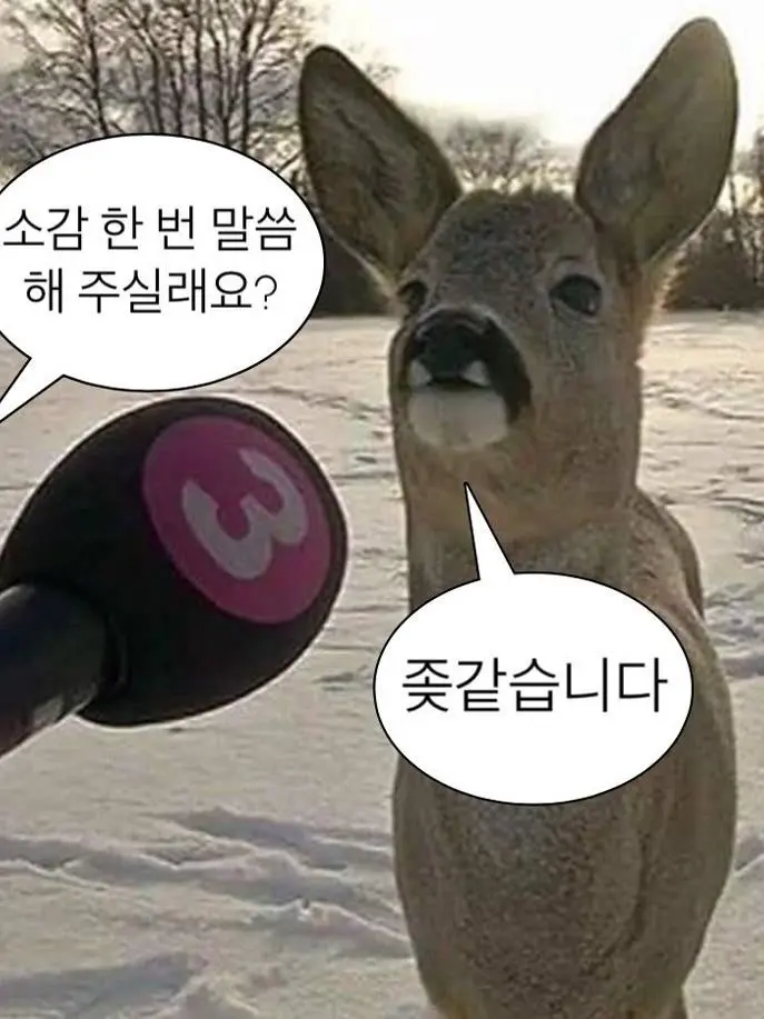 FishyReel2284의 미수반 ㅡ 🐺