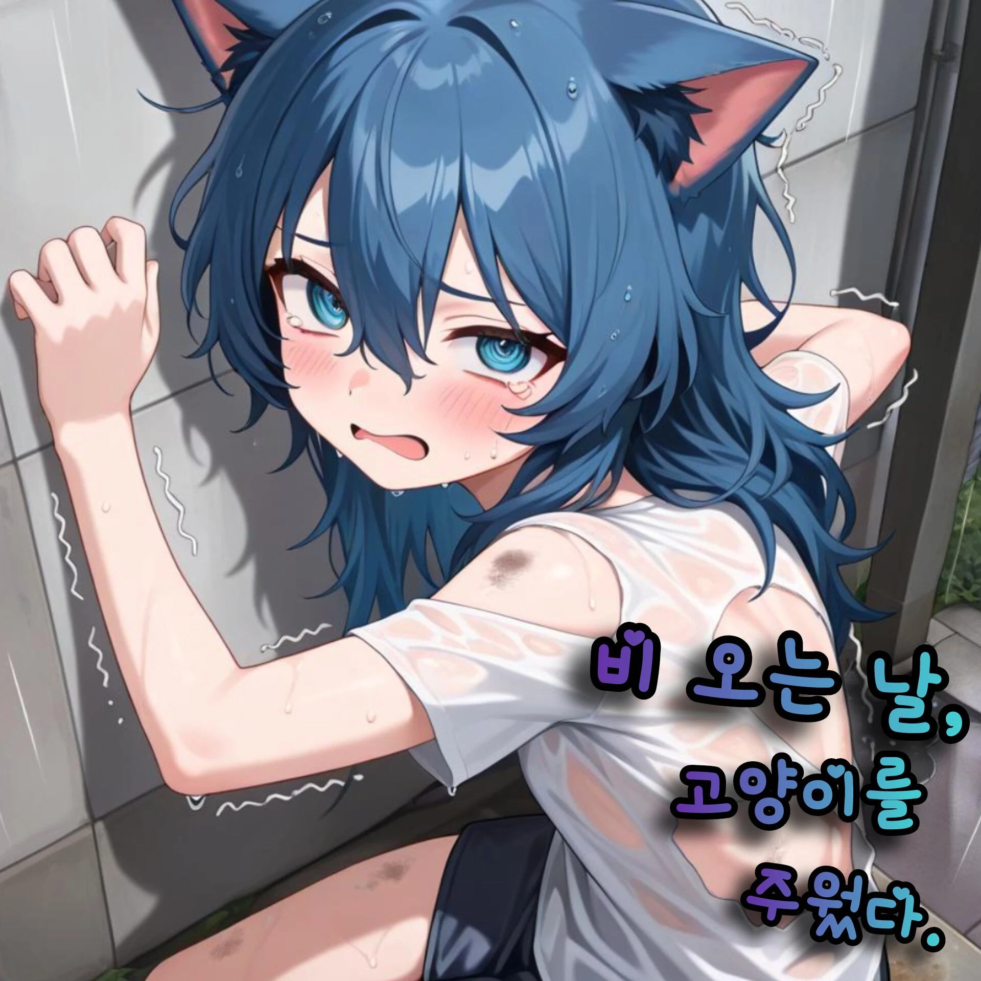 비 오는 날, 고양이를 주웠다.