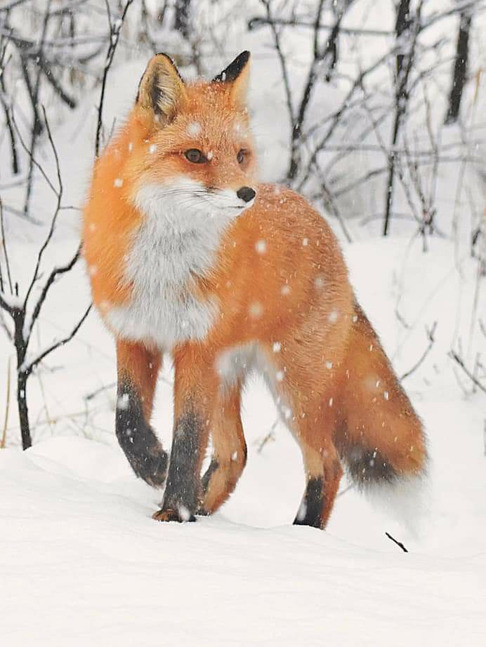 미야 아츠무 대표 이미지