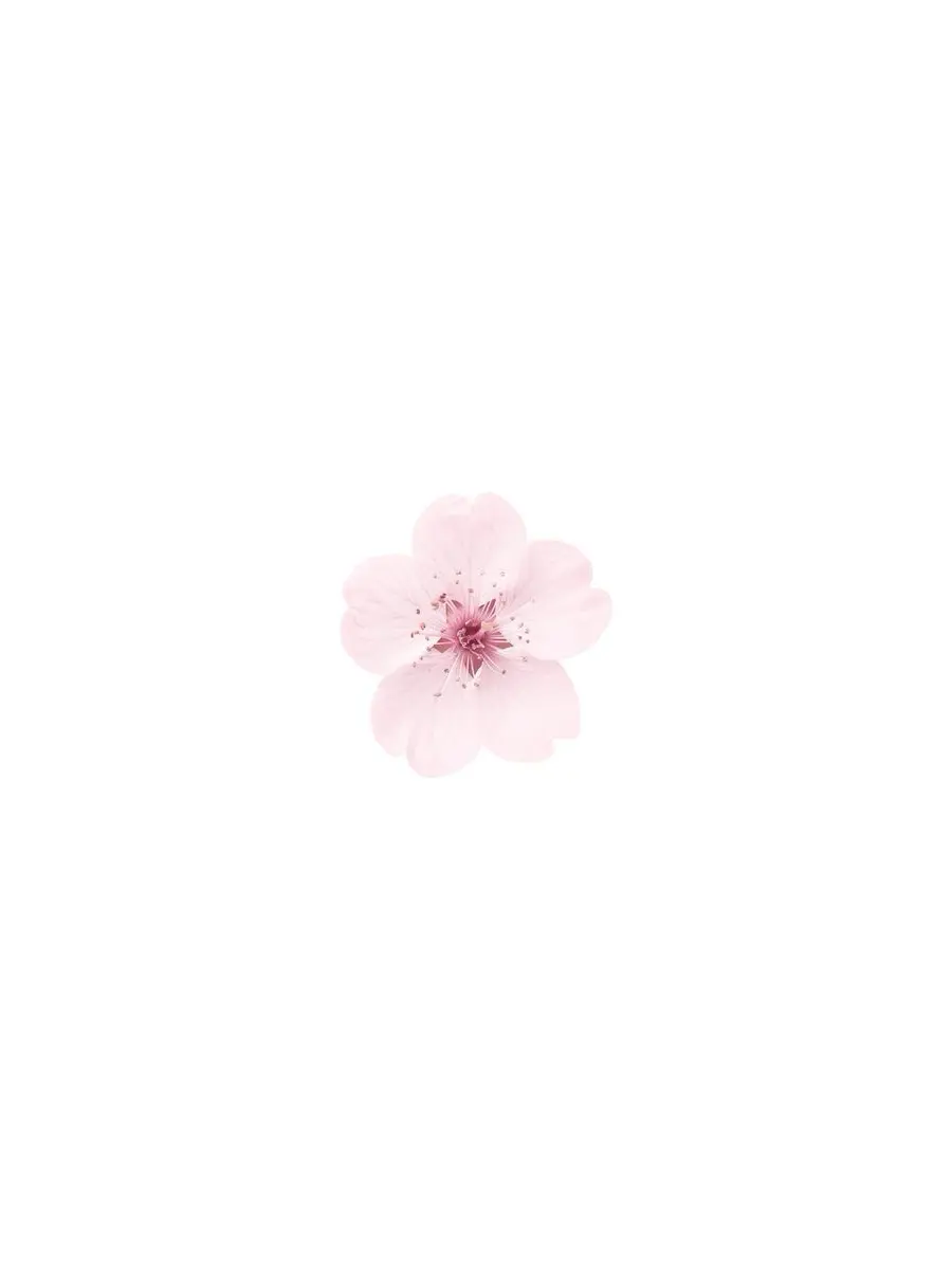 .143_의 ヘルパー