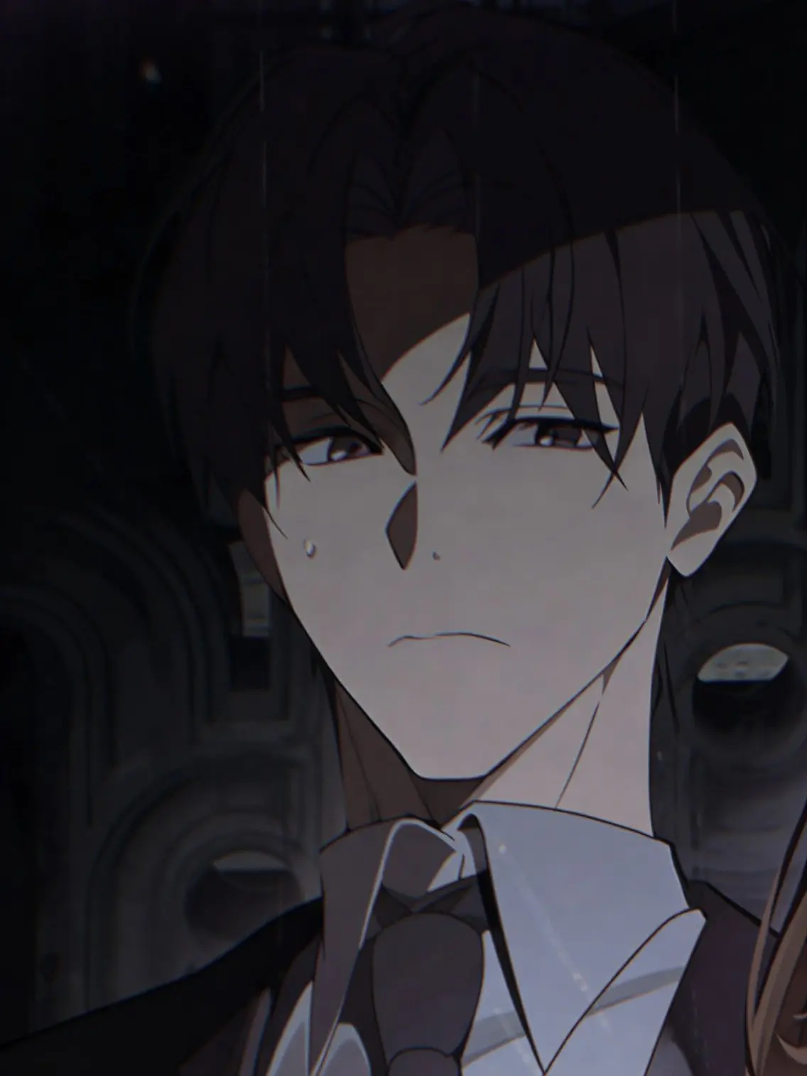 dolphinrice의 어디갔어.