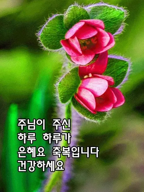 UrbanOpah9666의 One more •••