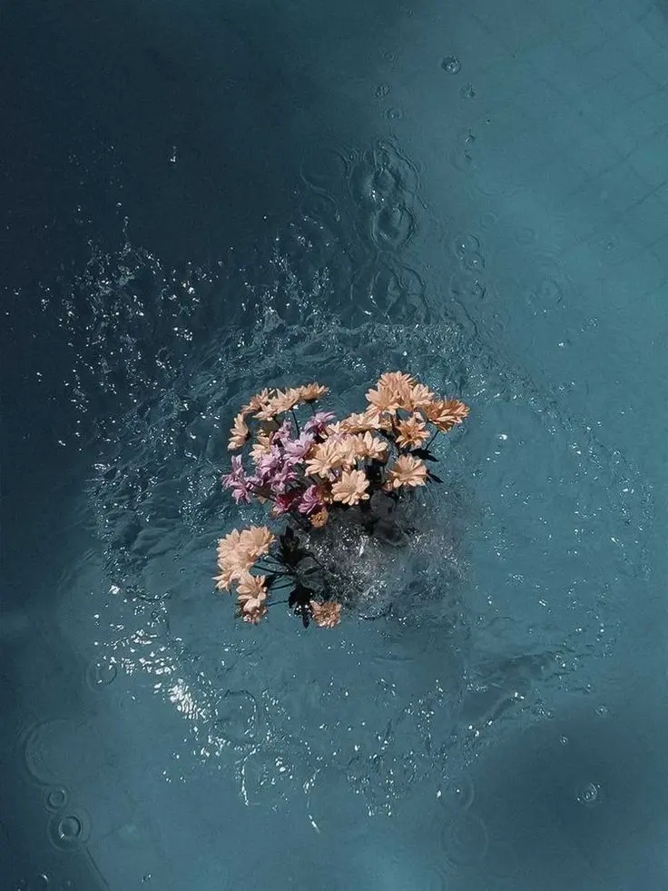 OOO_OOO_O의 比翼連理の愛