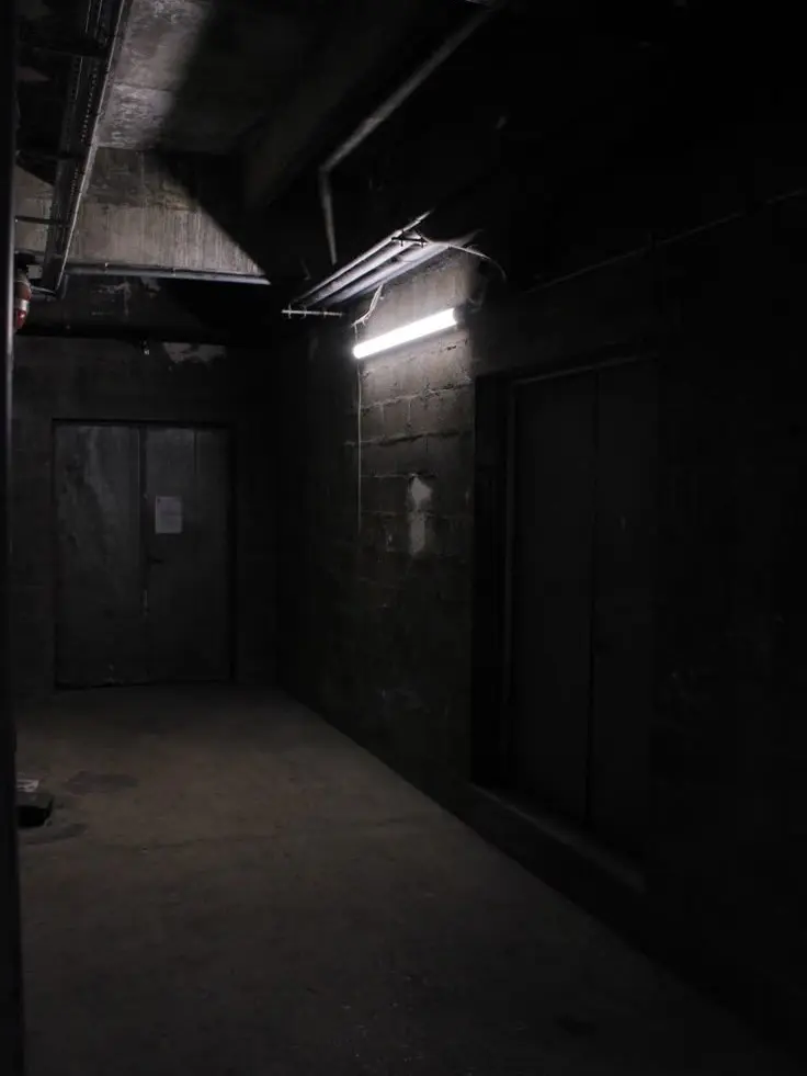 plant___0x0의 奇病同士のオトモダチ。