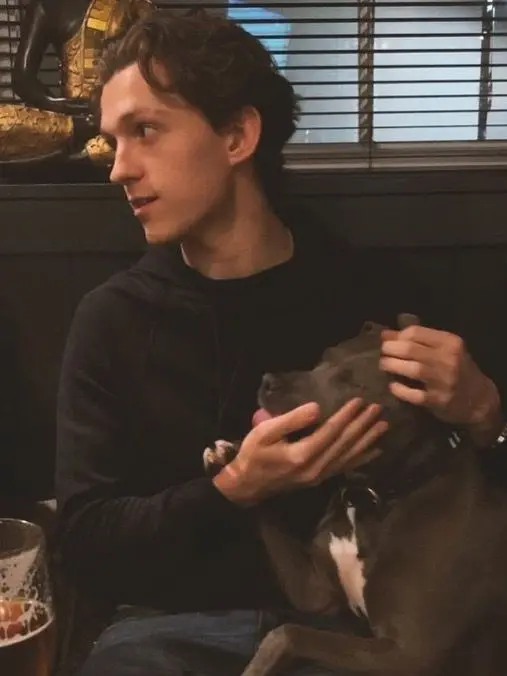 puriet의 TOM HOLLAND