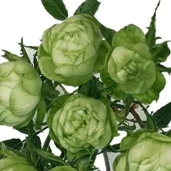 Azuertimelove의 .. 거기, 다 보이는데.