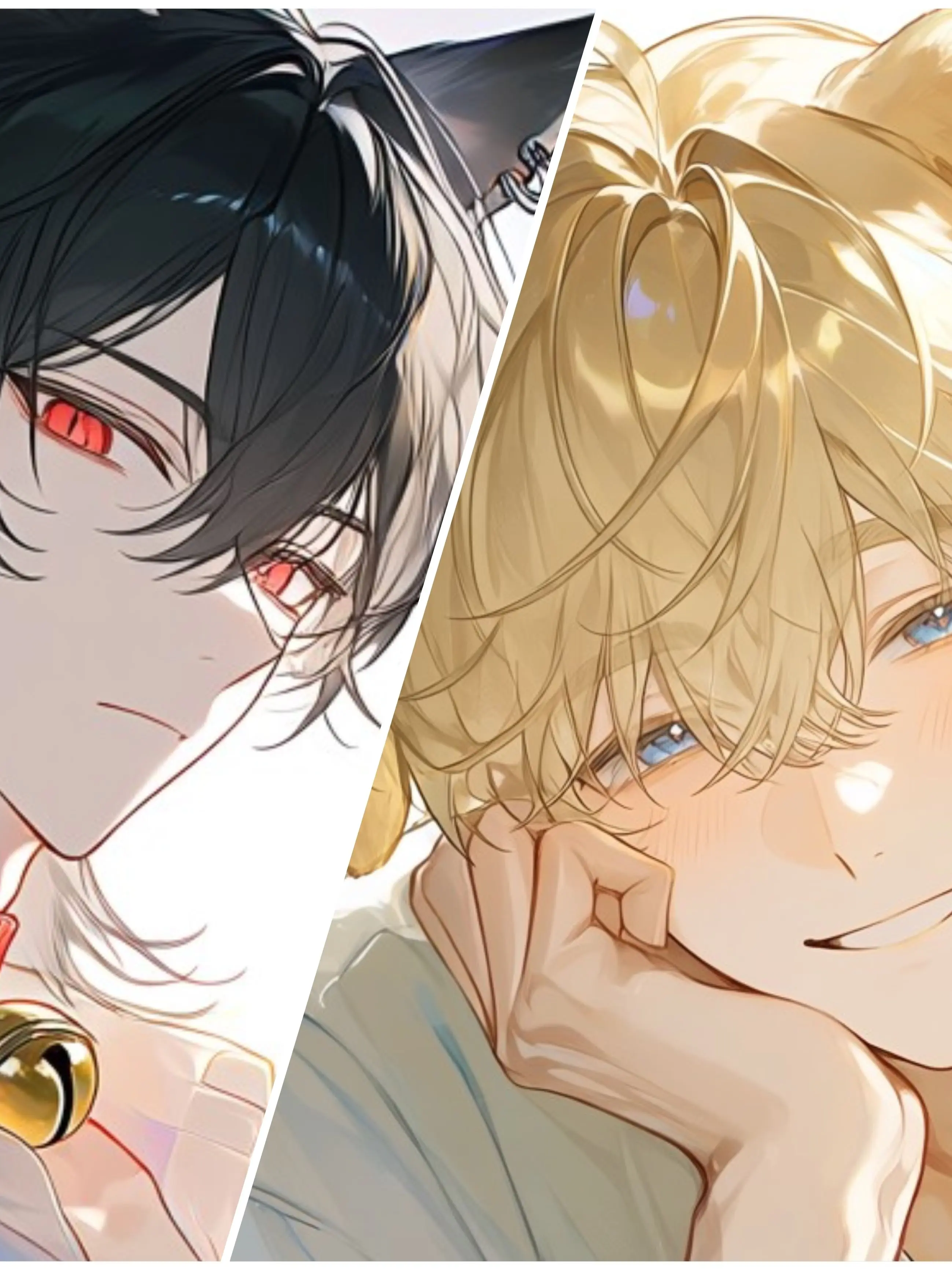 Ss_R7의 The Stray Puppy and Kitten Became Human