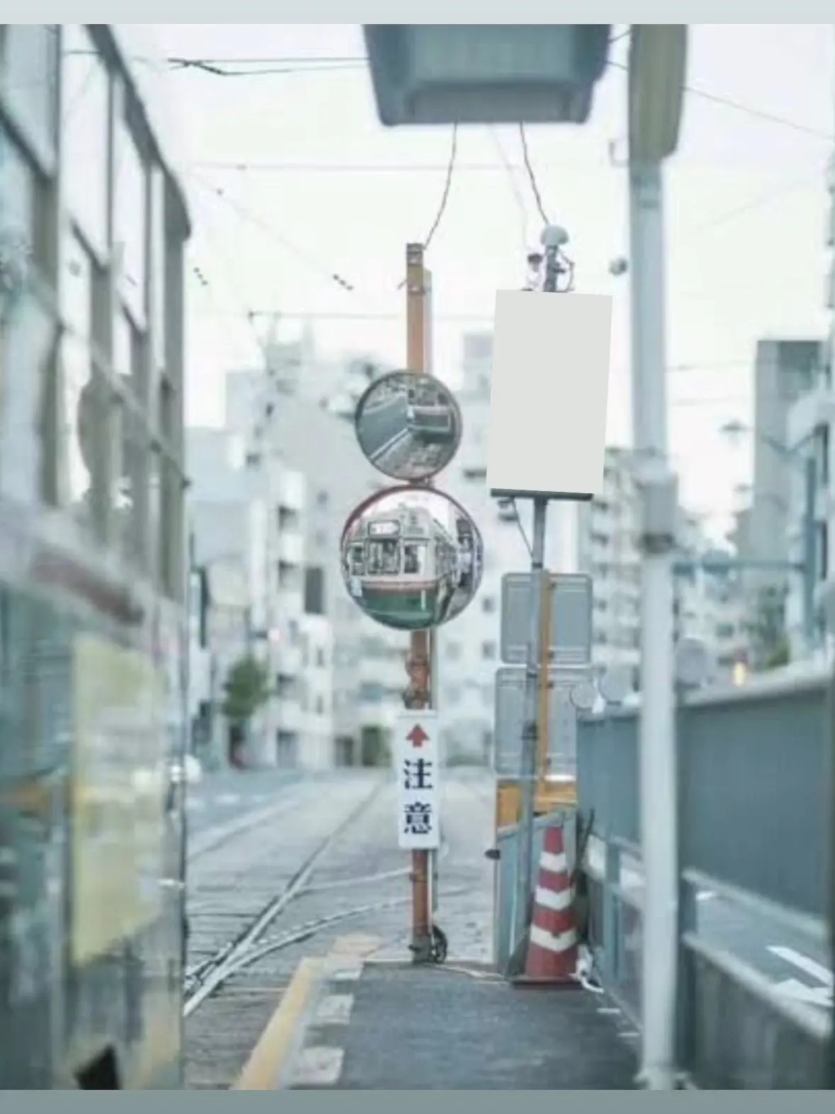 SpicyComb7925의 100mの恋