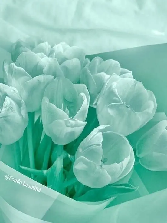 pri_me.의 날씨 좋네 ↳그러게