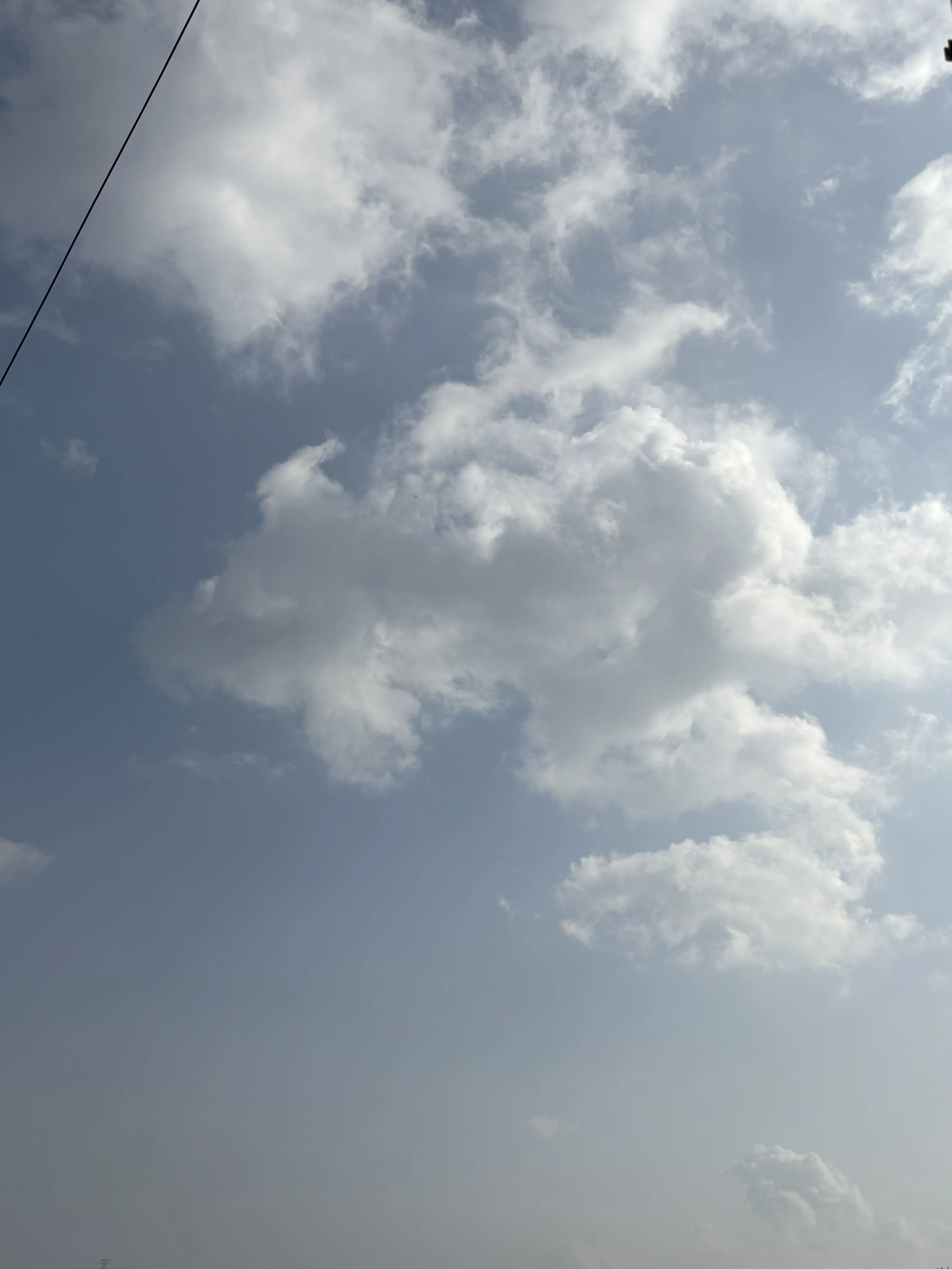 SmellySnake1966의 여우가 (늘그런것같지만)이간질을해요!