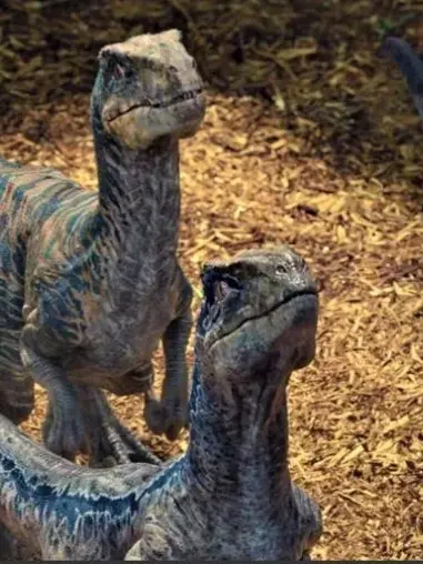 SilverGirl8009의 랩터 시스터즈