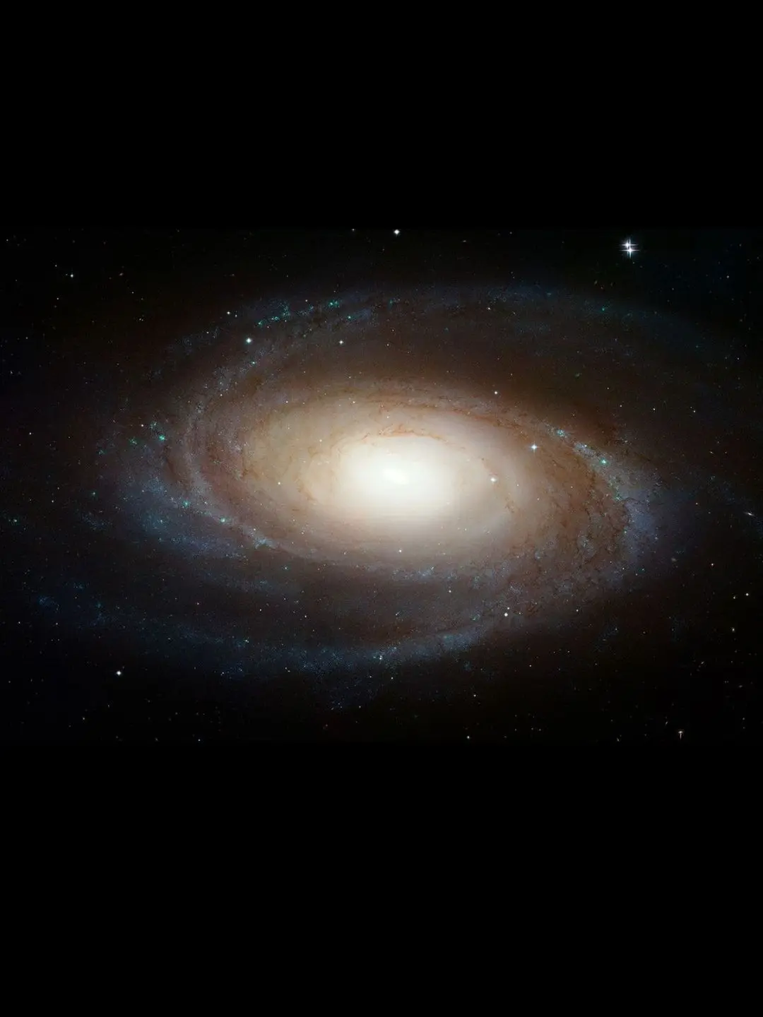 ihateSweetpotatoes의 가강전으로 만든 영화