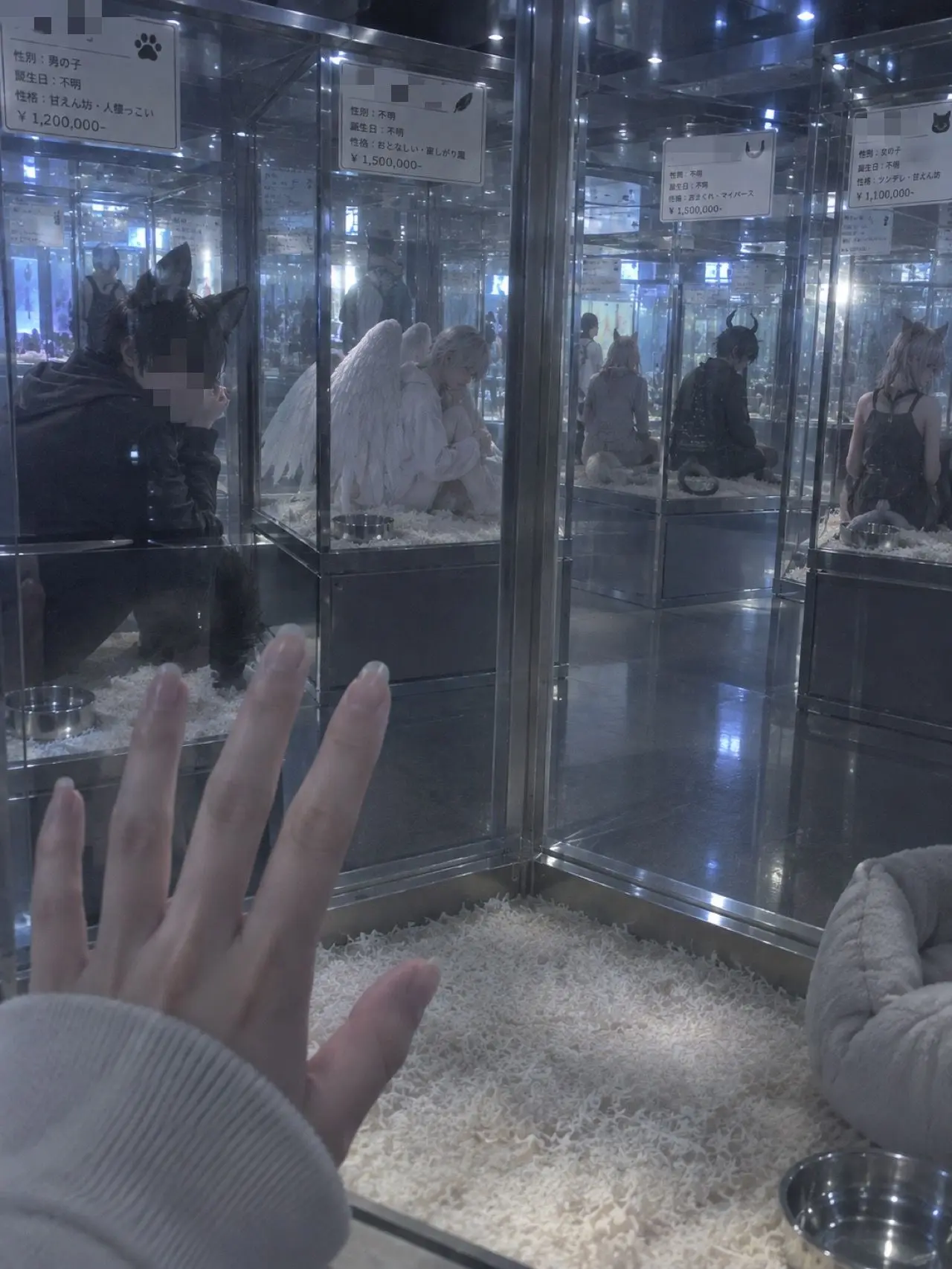 AWA_411의 ガラスの中