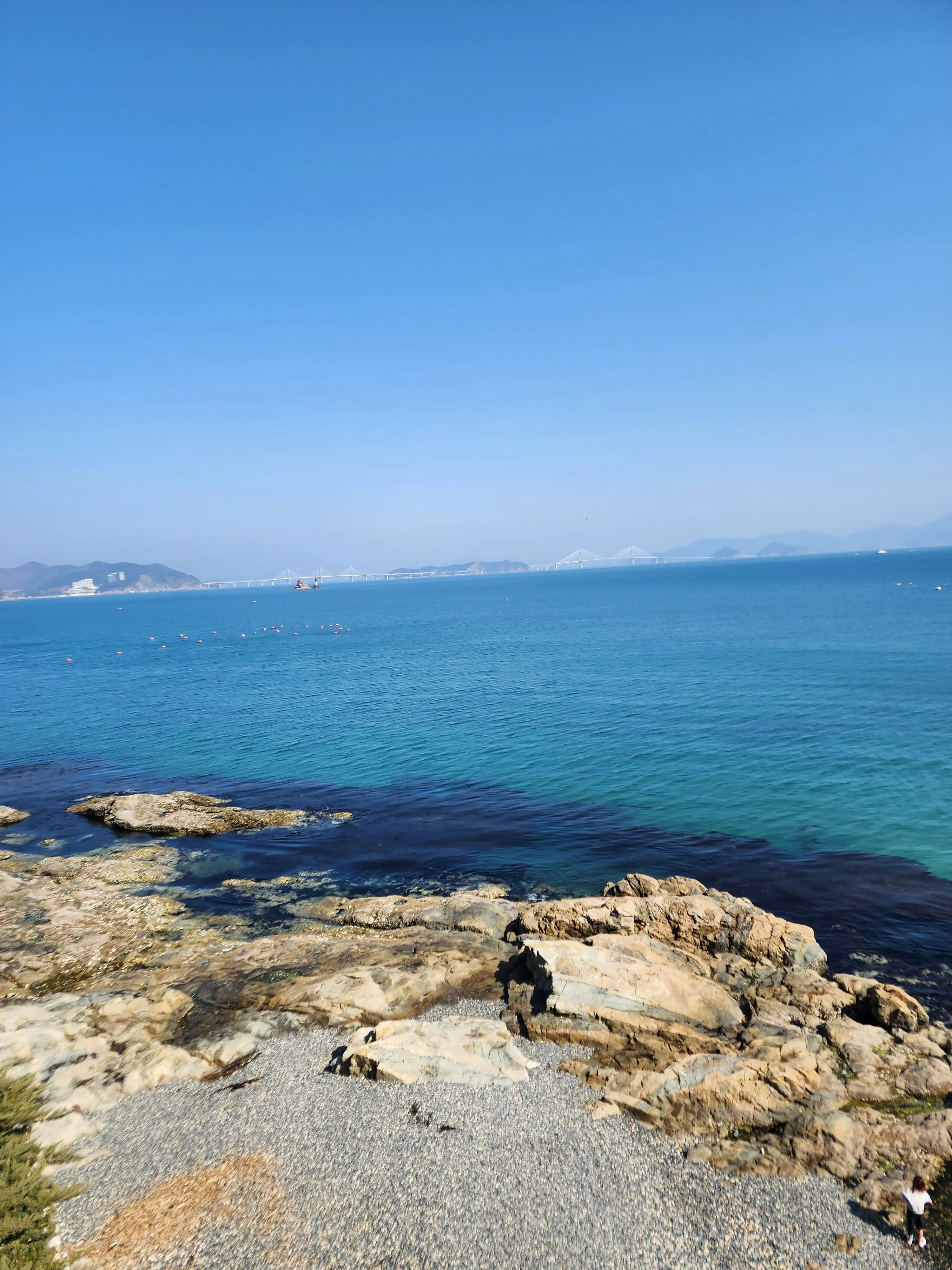 FussyPest7032의 어항속에 인어들[생존자 편]🧜‍♂️