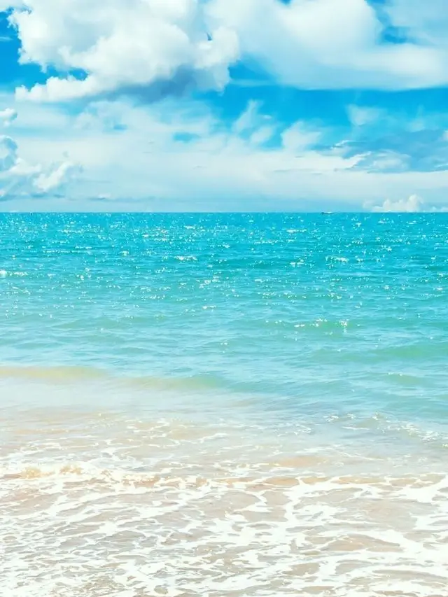 LovedPilot77383의 「여름맞이 수학 여행」