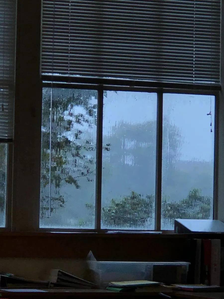 ._.wwwshiro의 夏雨は君を思い出させる。