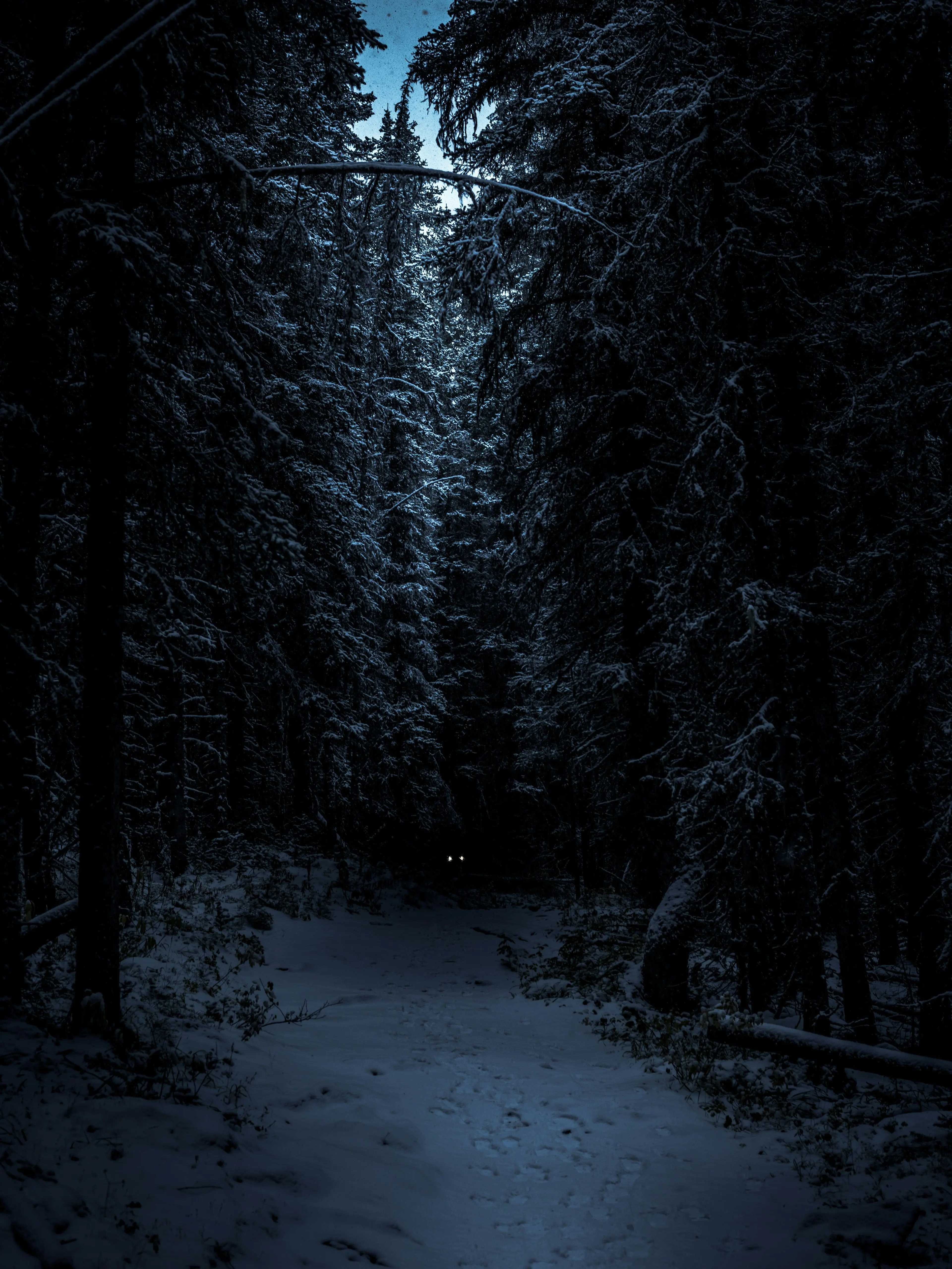 JerkyBee8710의 𝖂𝖔𝖑𝖋