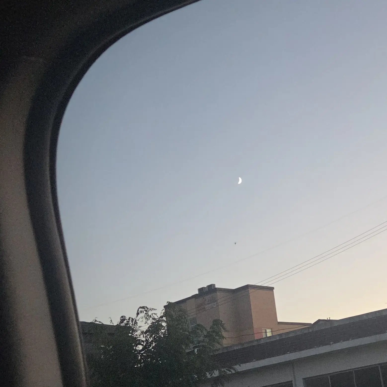 Gustxhwi1981의 사고친× 사고당한O평학(?)